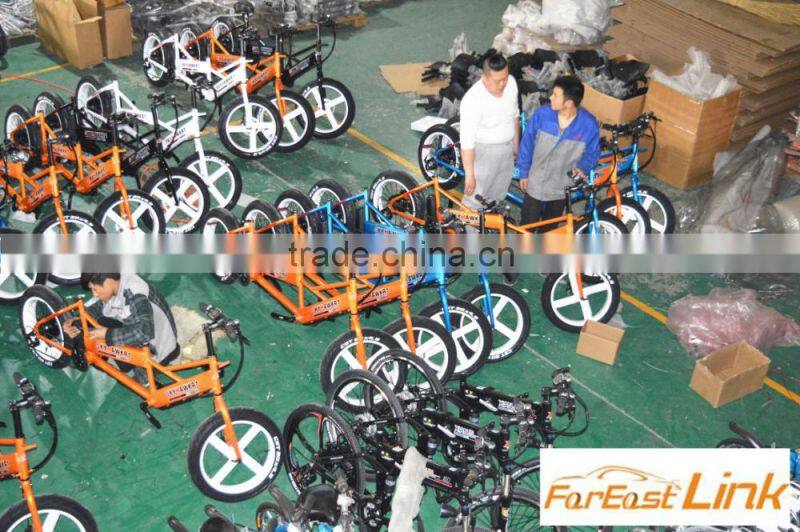 2016 Fashion Bicycle Electric BC-A