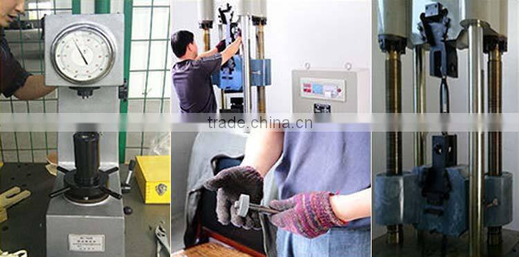 Stainless Steel Sus 304 DIN1480 Construction Straining Screw