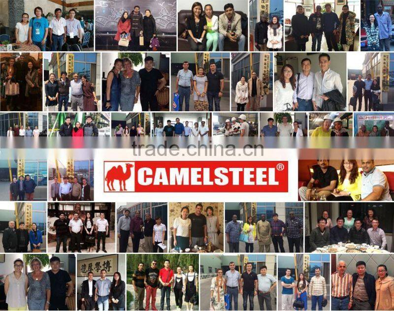 High-strength Steel Plate Special Use HR CR GI GL PPGI PPGL