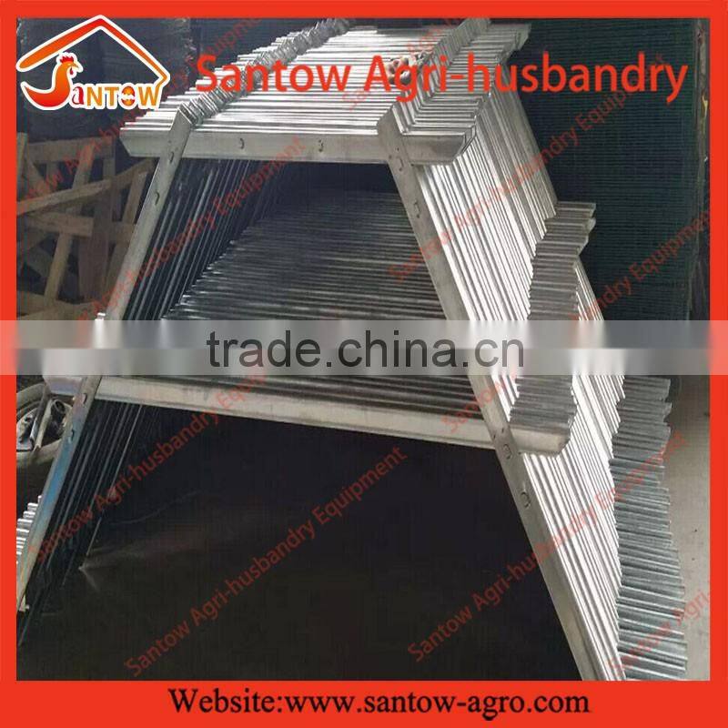 Hot Galvanized Automatic Battery Cage for Laying Hens