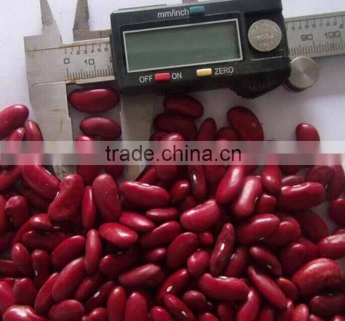 British red kidney bean,220-240pcs/100g,200-220PCS/100G