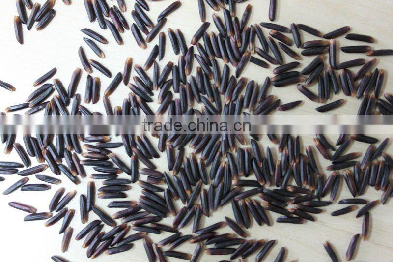 VIETNAM HOT-SELLING NEW-CROP ORGANIC BLACK RICE