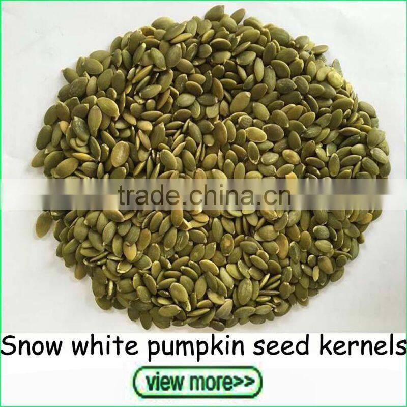 Export Grade Shine Skin Pumpkin Seeds in Bulk