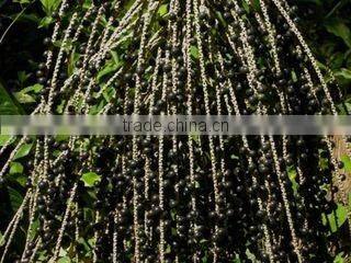 Acai Clear Juice Single Strength