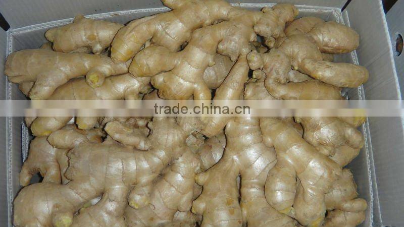 Chinese fresh ginger