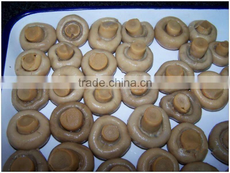 best price canned mushroom whole in brine 2840g