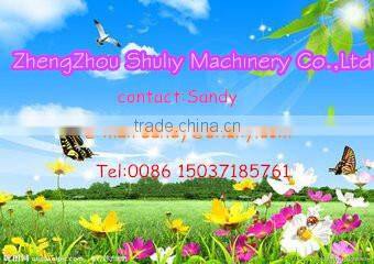 professional gasification furnace/newly biomass gasifier