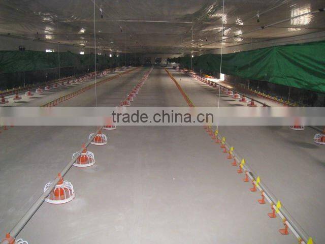 automatic livestock feeders for chicks