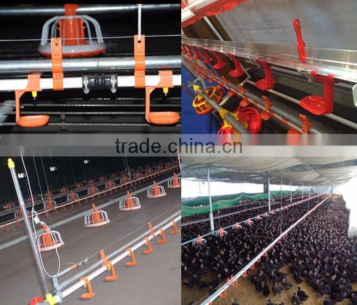 poultry equipment manufacturer chicken farm for poultry broiler