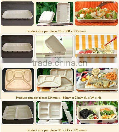 Disposable Fast food box machine