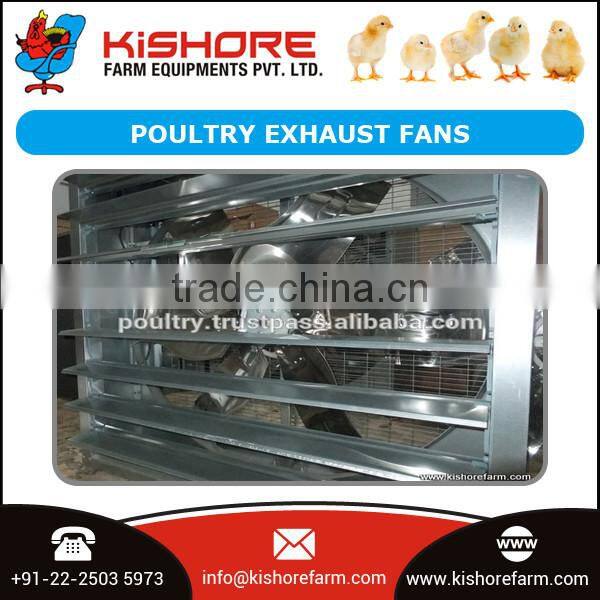 Hot Selling Professional Automatic Poultry Broiler Farm Equipments