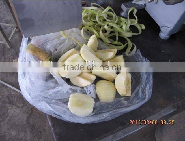 Small type Apple peeler corer and slicer machine for home use