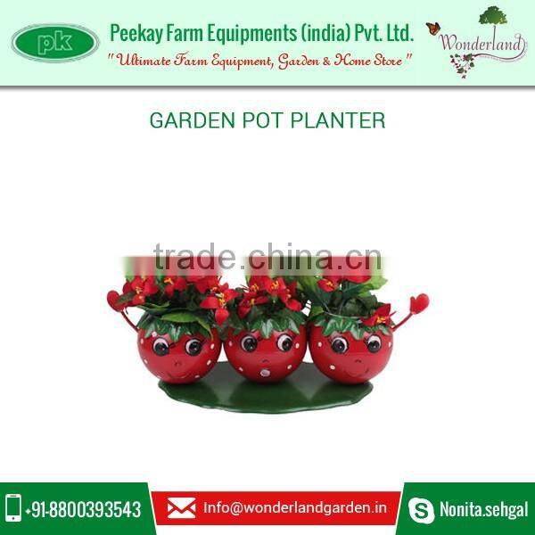 Beautifully Crafted And Hand Painted Pot Planter for Gardens Decoration at Minimal Rate