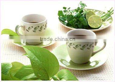 Multifunction Electric Glass Blender/Juicer