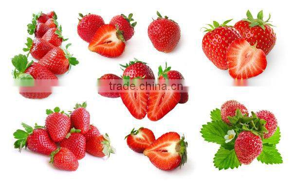 New arrival microwave vacuum dryer for strawberry