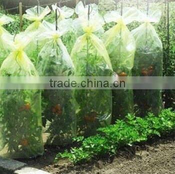 PE Agricultural Tomato tube Green house with holes