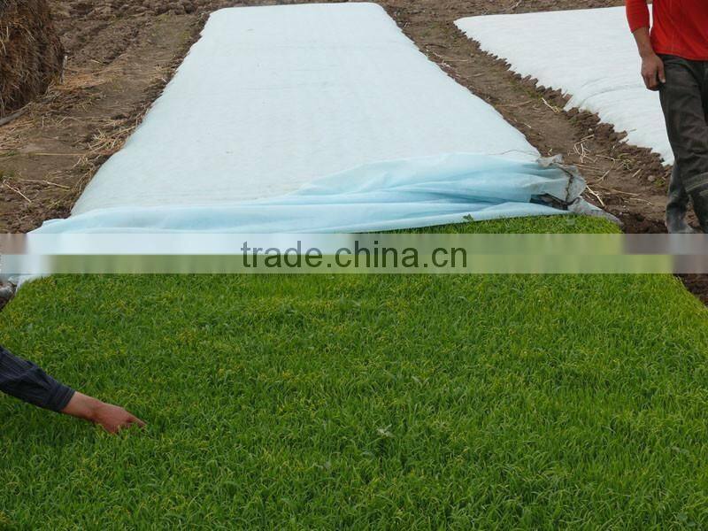 pe coated airlaid paper pe coated tissue pe coated pp pe coated paper and laminated pp