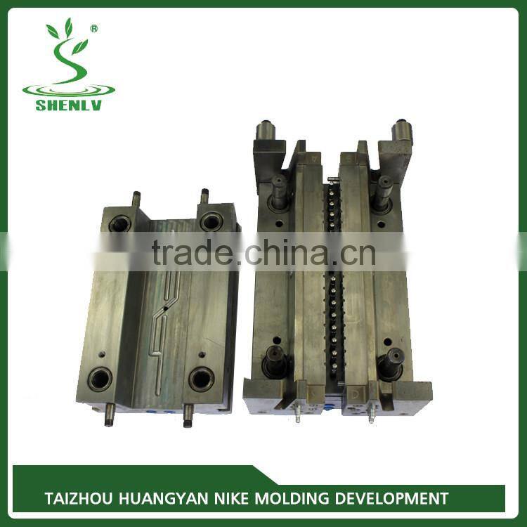 Top quality and good service experienced pen parts injection mould