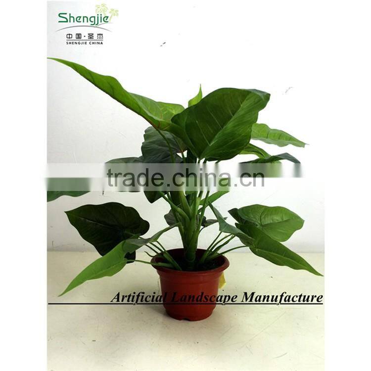 SAS201603 China Supplier Artificial Greenery Plant,Indoor Fake Ornamental Foliage Plant