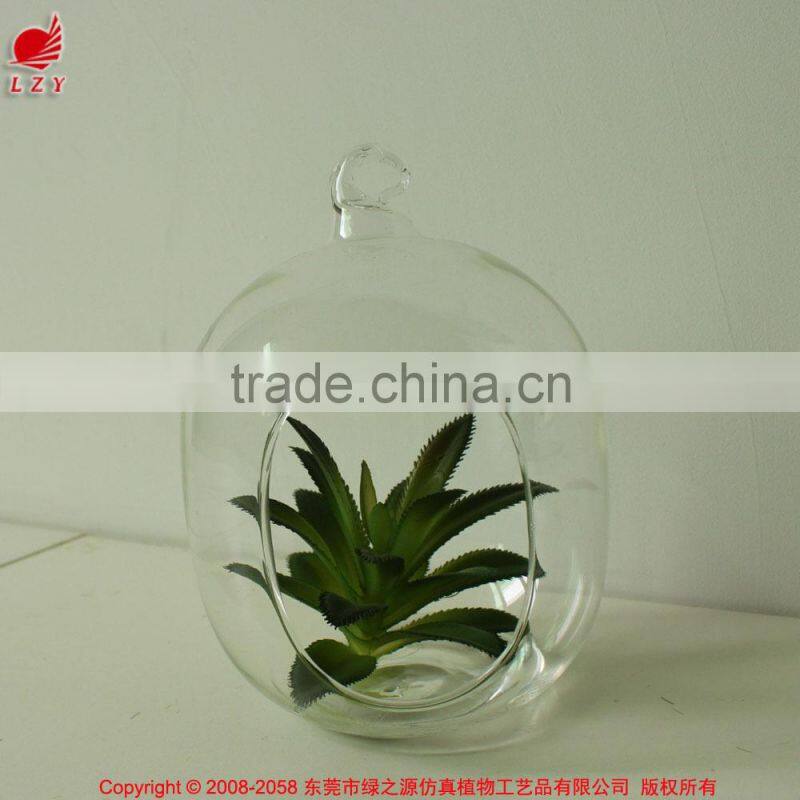 New home decor succulent art craft mini terrarium succulent plant