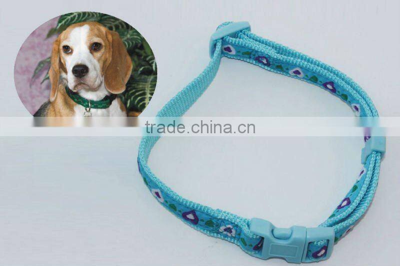 lighted retractable dog leash