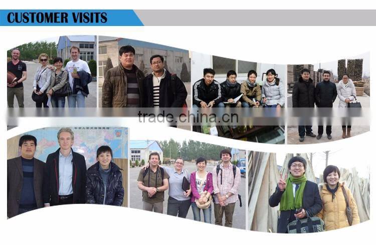 Kiln - dried Paulownia Wood Board