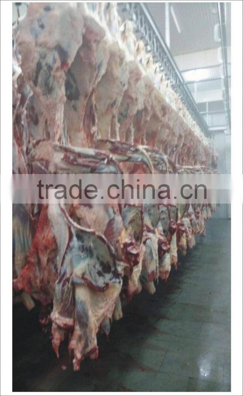 Halal Buffalo Meat Boneless Frozen