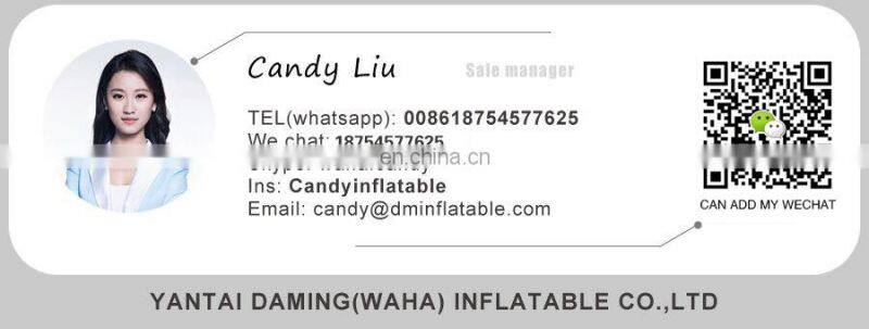 China Manufacturer Happy Marry Christmas Inflatable Arch for Sale C-520