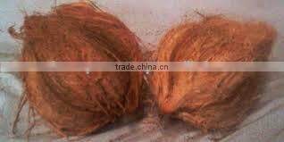 Fresh trimmed/undrimmed coconut