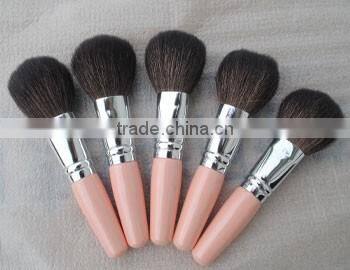 Professional Antibacterial make up brushes