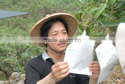 Fruit protection bag mango