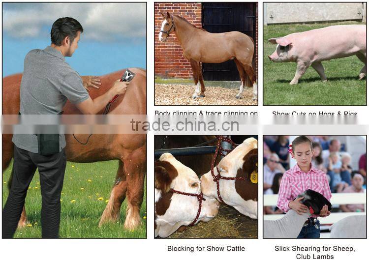 Pet Grooming Electric Dog Professional Horse Hair Clipper Blade