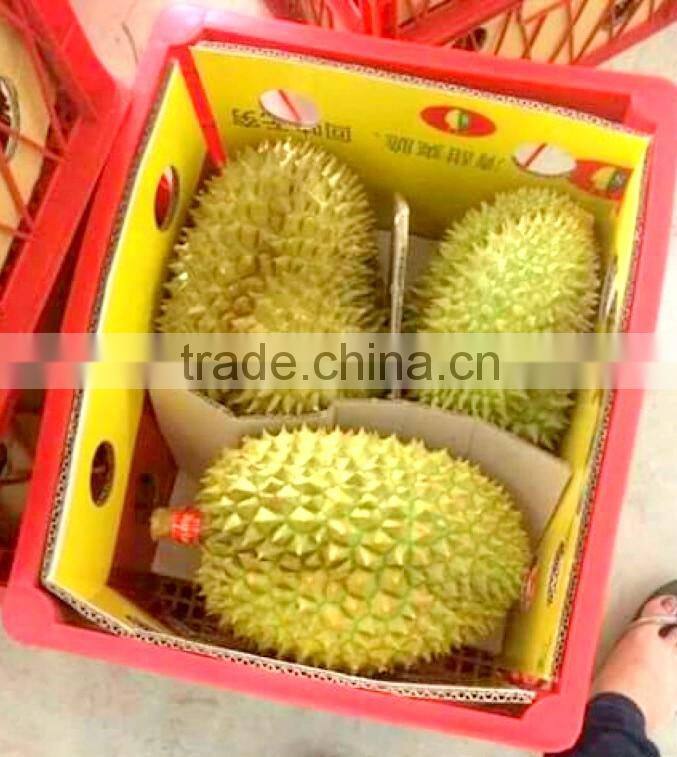 VIET NAM DURIAN- monthong durian