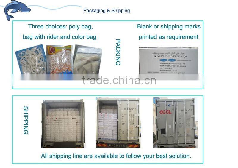 frozen Squid Tube- todarodes pacificus