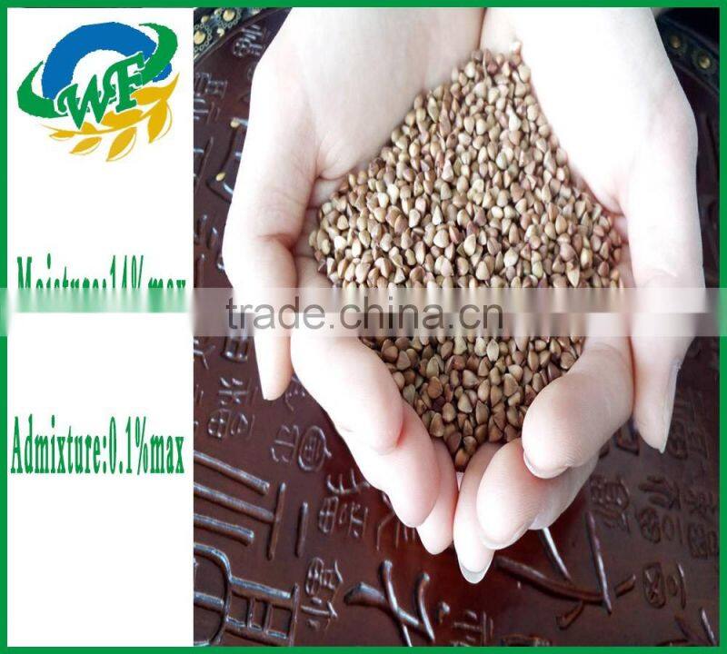 Chinese Roasted Buckwheat Kernel to GEORGIA AND RUSSIAN