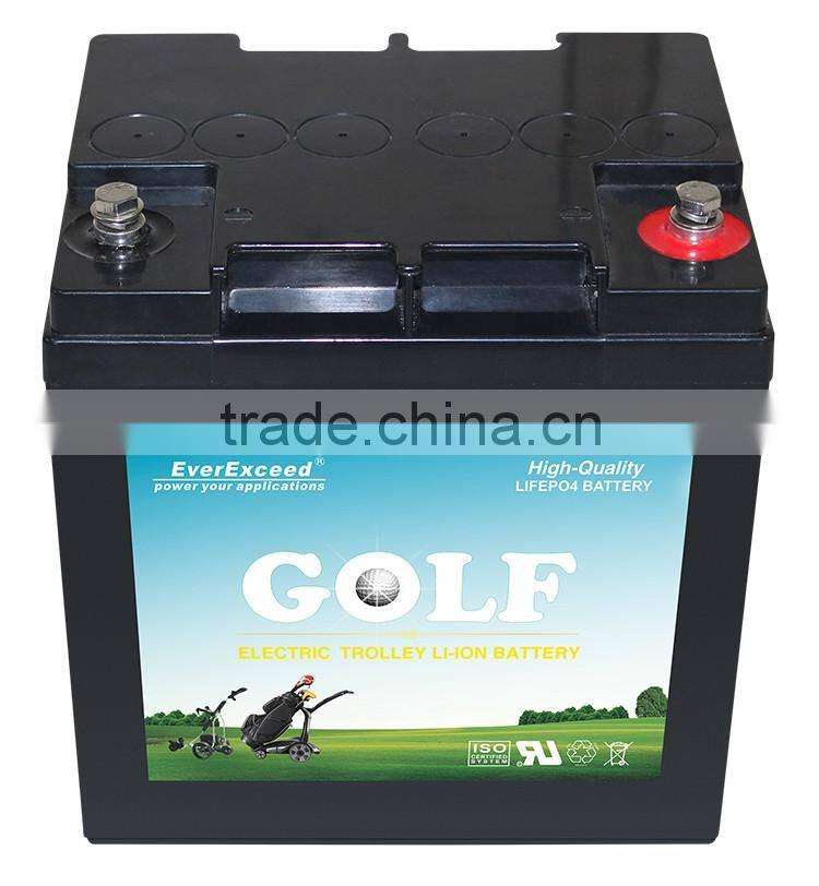 EverExceed best price 48 volt lithium battery pack/golf cart battery 48v/lithium battery for golf cart
