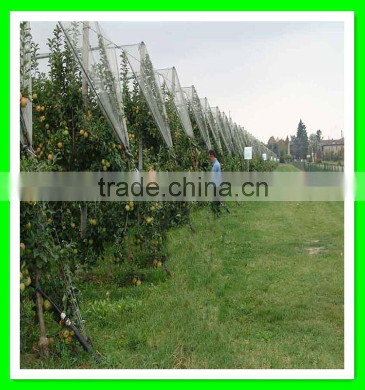 Henan Suntex supply woven anti hail net/white hail proof net/plastic hail guard net