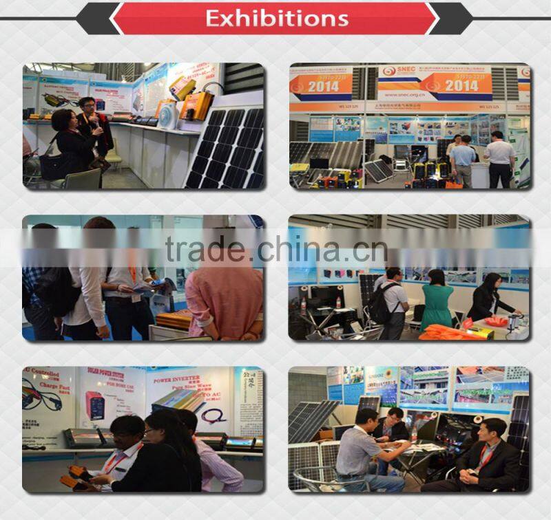 800W Pure Sine Wave Power Inverter