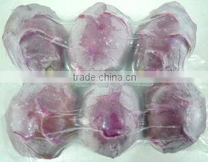 BEST PRICE FRESH DRAGON FRUIT