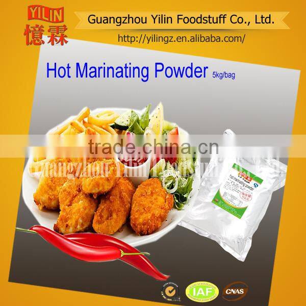 Garlic Flavor Marinated Seasoning Powder made in china