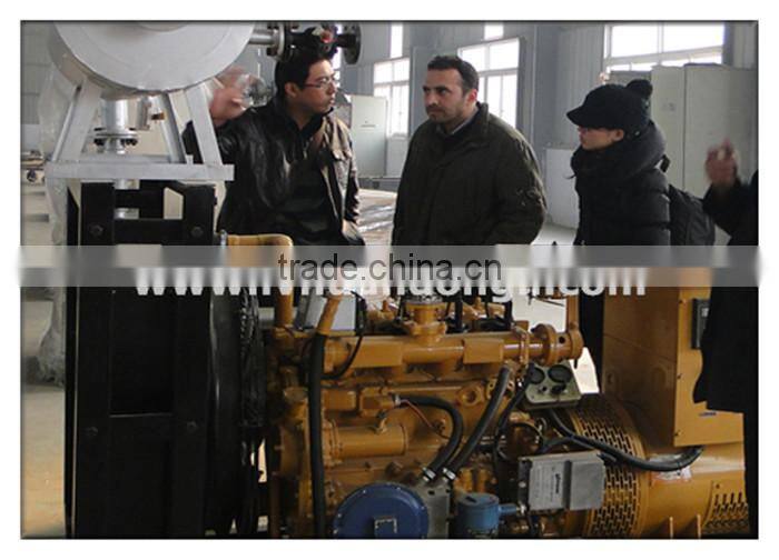 Turnkey project CE ISO High Efficient 10 - 50 kw small biogas plant