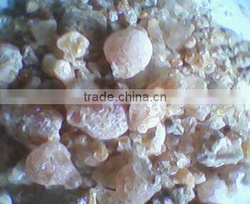 Hot Sale HIgh Quality Gum Arabic