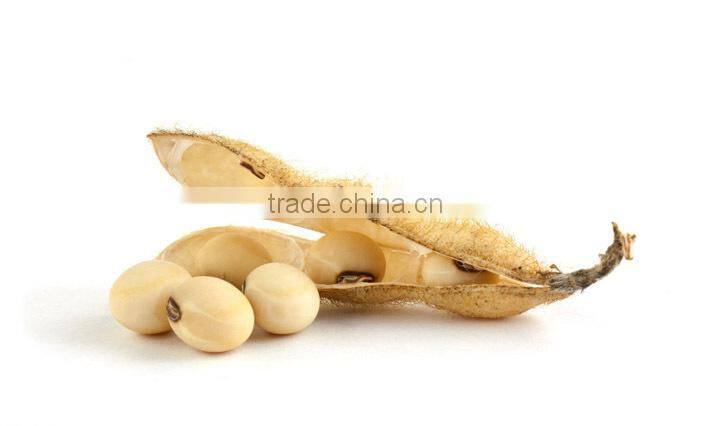 Soy Food Instant SoftTofu Powder