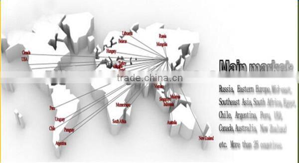 Used Waste Tyre/Plastic Recycling To Pyrolysis To Oil Machine