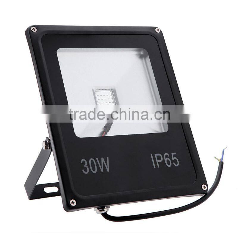 Black case IP66 Waterproof 30W RGB outdoor LED Flood light