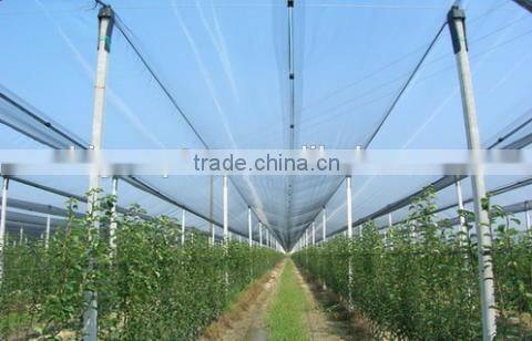 Yemen used plastic bee net/anti hail netting for crops
