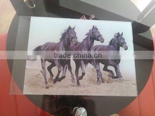 Big Format +High Speed wood PVC aluminum UV Printer SK-PB2A-UV