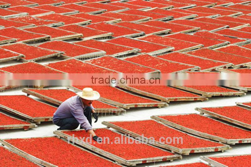 High quality dried raw goji berries