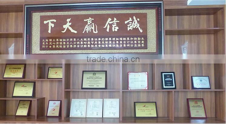 Competitive Price and high quality AHD Mega pixel CCTV camera indoor outdoor ir camera