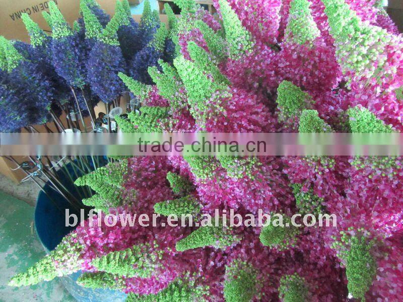 plastic eremurus foxtail